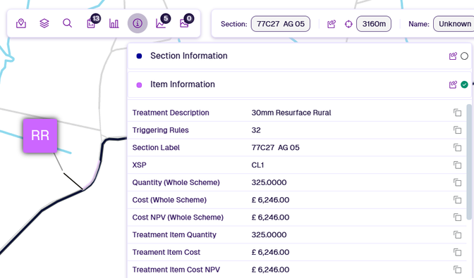 The Item Information of a selected Treatment item