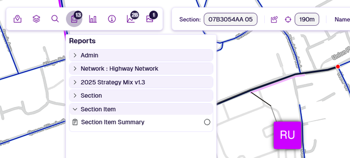 The Reports dropdown showing all available for the active Section Item
