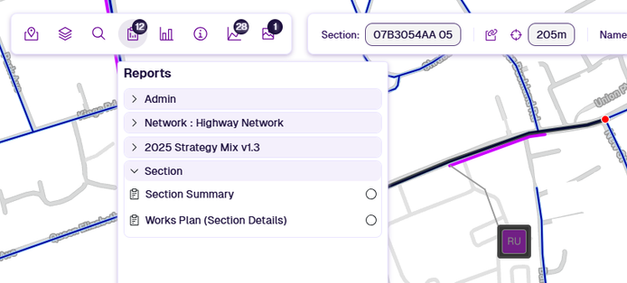 The Reports dropdown showing all available for the active Section