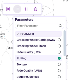 The Parameters dropdown with the Rutting parameter selected